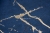 TAPETA-granatowy-Kamien-winyl-NA-FLIZELINIE-IMITACJA-BETON-TYNK-zlote-zylki-Rodzaj-winylowa-na-flizelinie.jpg
