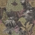 15503.jpg