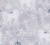 771381.jpg