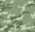 771731.jpg
