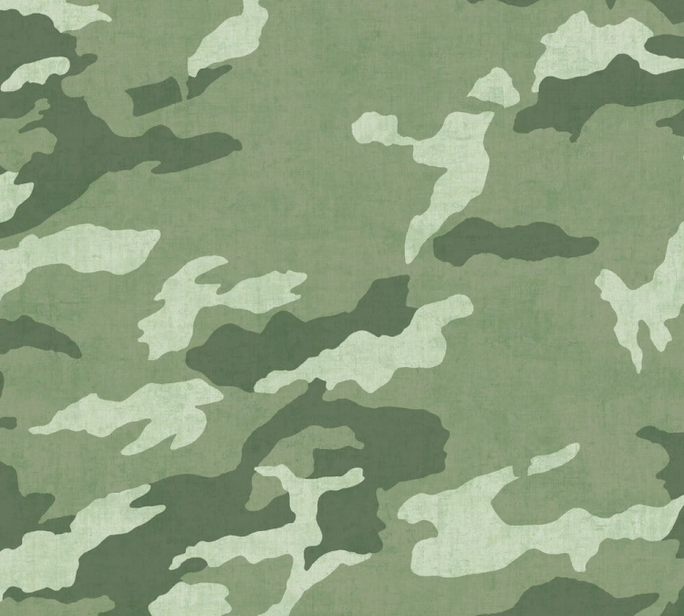 771731.jpg