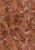 10446-13.jpg