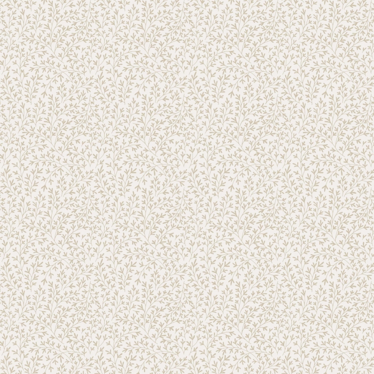 84047.jpg