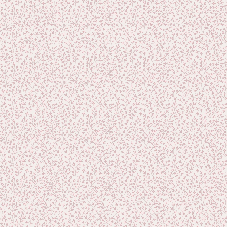 84048.jpg