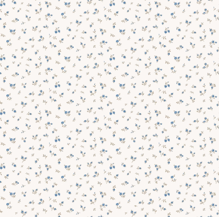 84063.jpg