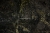 Tapeta-Winylowa-Czarna-Struktura-Zloty-Brokat-LUKSUSOWY-wyglad-Kod-producenta-nt-101-707.jpg