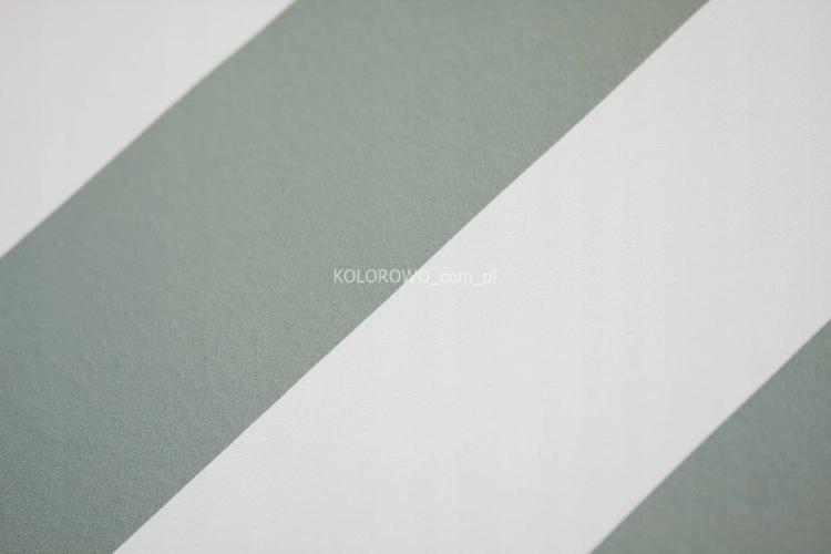 Tapeta-w-eleganckie-PASY-zielone-SZALWIOWY-winylowa-na-flizelinie-Kod-producenta-a83704.jpg