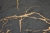 TAPETA-grafitowy-Kamien-Marmur-Tynk-MIEDZIANE-zylki-Winyl-Na-Flizelinie-Dlugosc-10-05-m.jpg