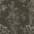 790436-0.jpg