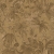 790472-0.jpg