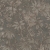 790473-0.jpg