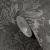 790496-0a.jpg