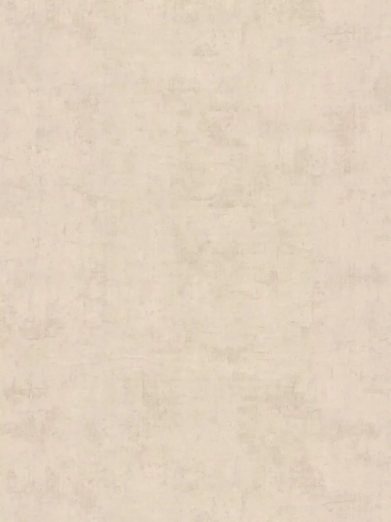 df9e0e05fa5fad256a6ec7b4ad940e19_1920x1920.webp