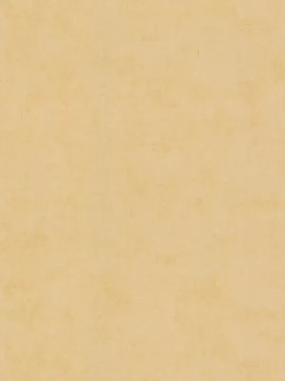 4f8eb814108664664c00dc78f97277b4_800x800.webp