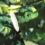 e63c93797ef12ddc0095b14cf696b166_800x800.webp