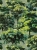 9e9729d4e0ff248bbbdc6b421fc5b55e_800x800.webp