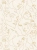 15c545537fae1e4e8035f81c86162576_800x800.webp