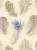 55bb6127f54653fc4b3355f847bfeb3f_800x800.webp