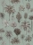 8cf200c168426da2fc8e00acb17f3653_800x800.webp