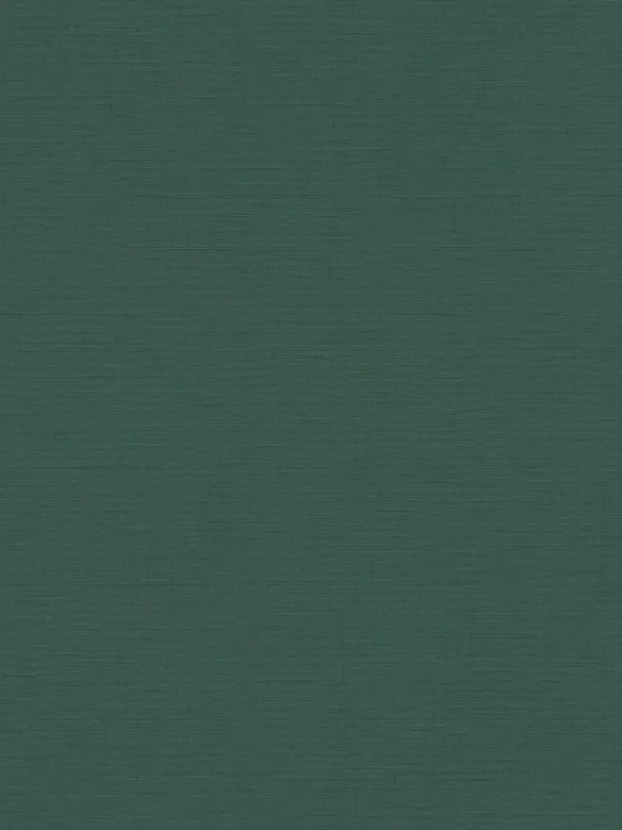 1c4d288d5d428659fc64b32990365b9a_800x800.webp