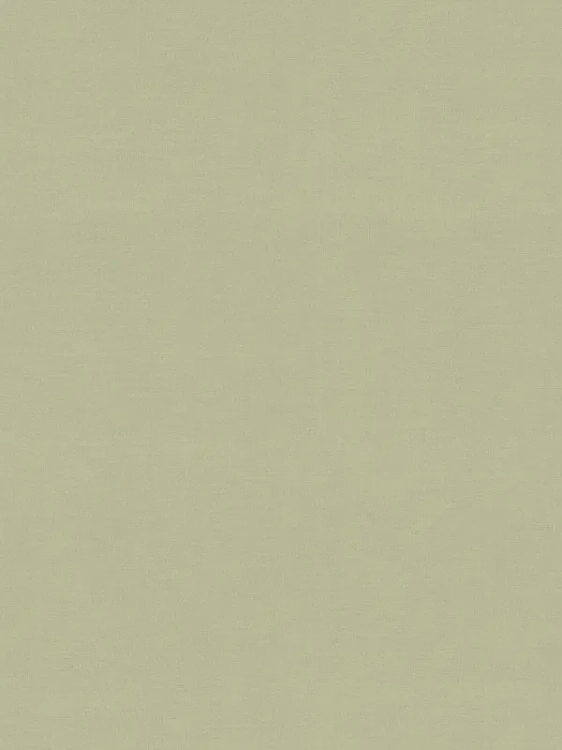 c463ab0d90fd2384589676d7e29f9618_800x800.webp
