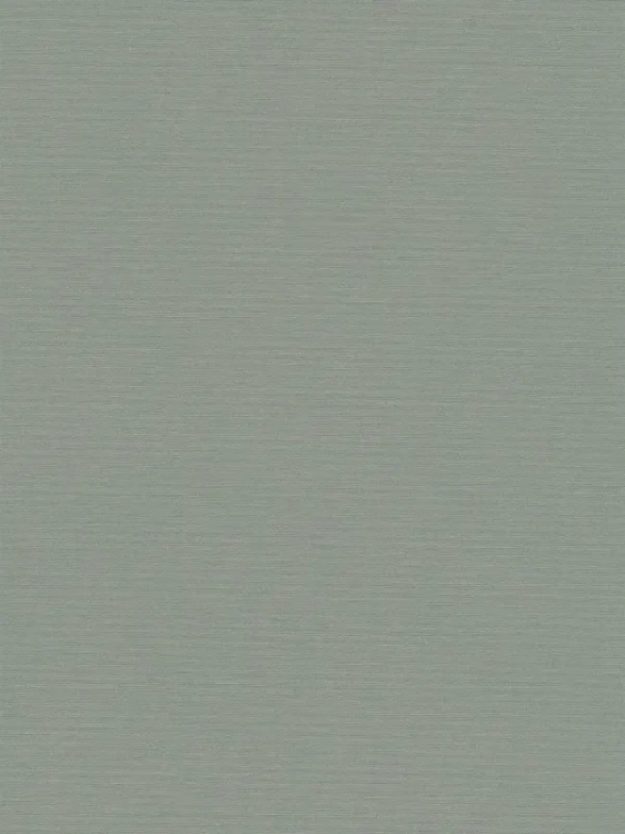 b6d806831ae0aff05f31497812562bb7_800x800.webp