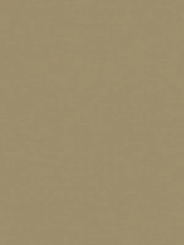 98c9623cb91ca6e4474869f55d62203d_800x800.webp