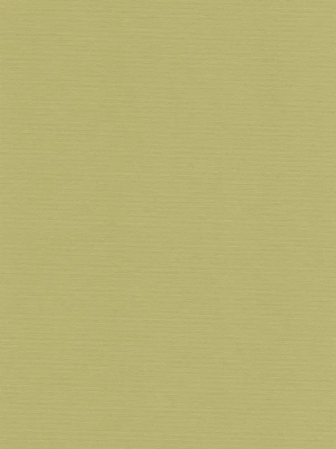 53e404c091d7410cae9f588f5ea58176_800x800.webp