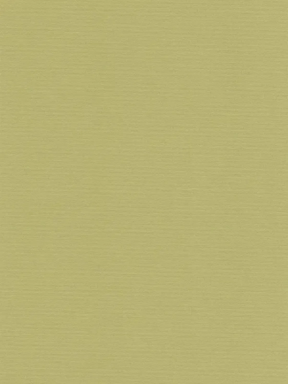 53e404c091d7410cae9f588f5ea58176_800x800.webp