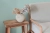 e56d1bb62105df2be4e4d92669e0f500_1920x1920.webp