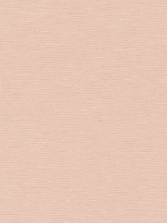 929037ed2ae11c85d262d2488b419d66_800x800.webp