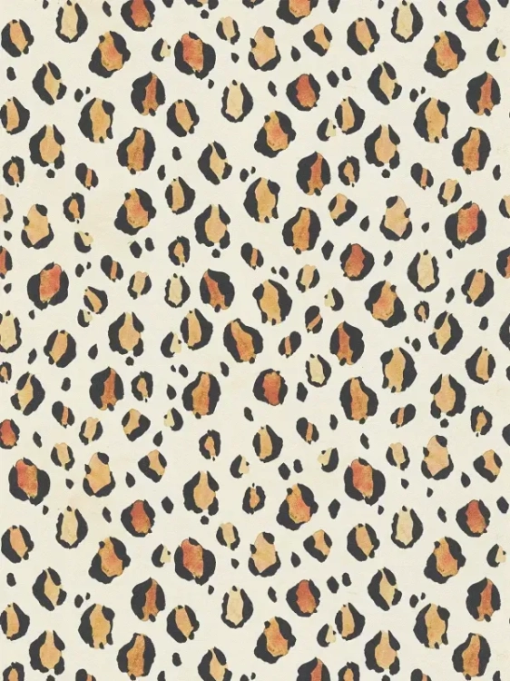56a7bc09477d3cde119e77a155ff59b5_800x800.webp