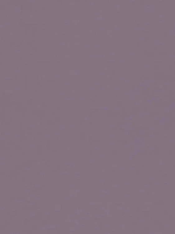 8594dbc0d1f6657845630b2ed45864aa_800x800.webp