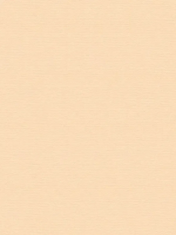 c889cb9fb28c14c1a05462456fe34c6a_800x800.webp
