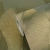 4ab0f8173e94b8cec86a876869c5fe1e_800x800.webp