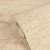 d08b68bc6d16e9aff9eb11c433e767f6_1920x1920.webp