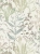 798181ccd62168594d3b3b7465c24e43_800x800.webp