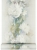 Tapeta-ekskluzywna-w-KWIATY-wzor-PANELOWY-zielony-winylowa-na-flizelinie-Kod-producenta-10513-08.jpg