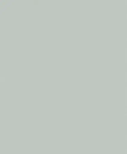 15.webp