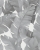 d3b1b9b13925965be72ba5f752f8d53b.jpg