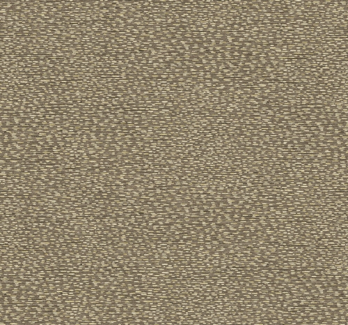 PH10505==.jpg