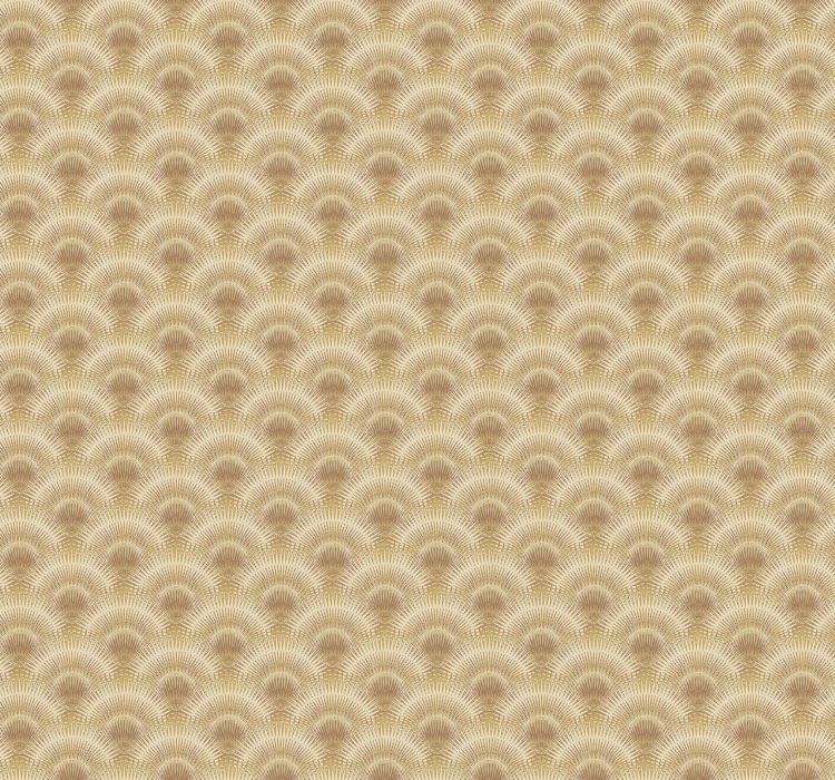 PH20401==.jpg