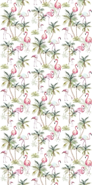 tapeta 148-158844 XXL flamingi