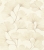 795646.jpg