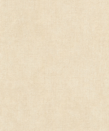 816136.jpg