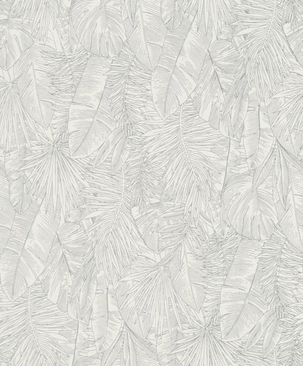 817423.jpg