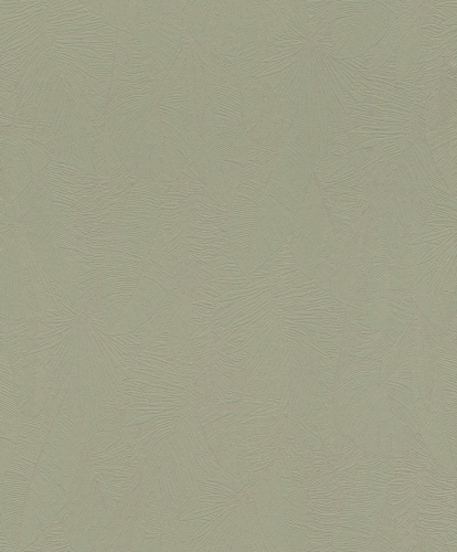817430.jpg