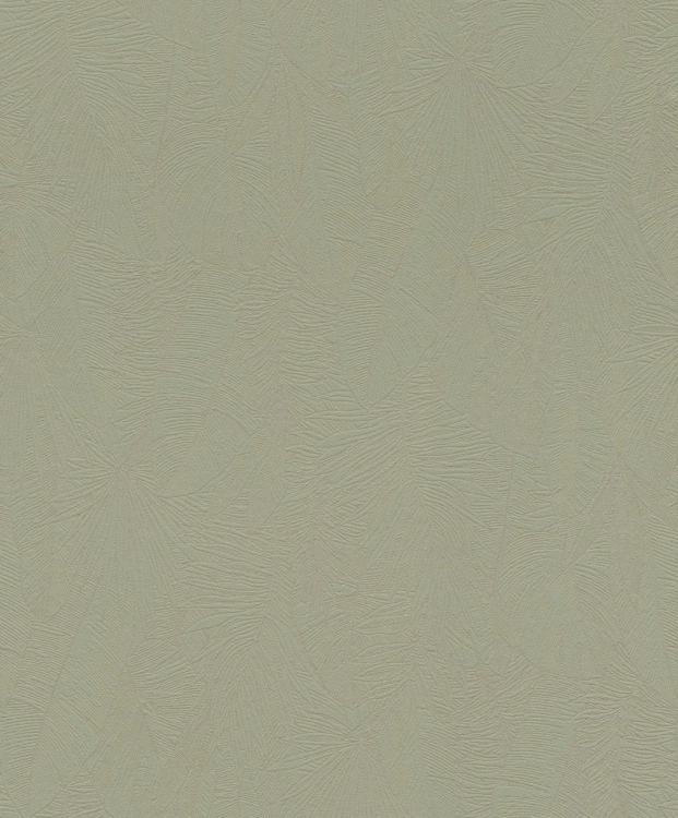 817430.jpg