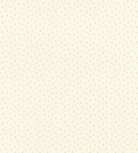 817553.jpg