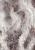 10614-45_scan.jpg